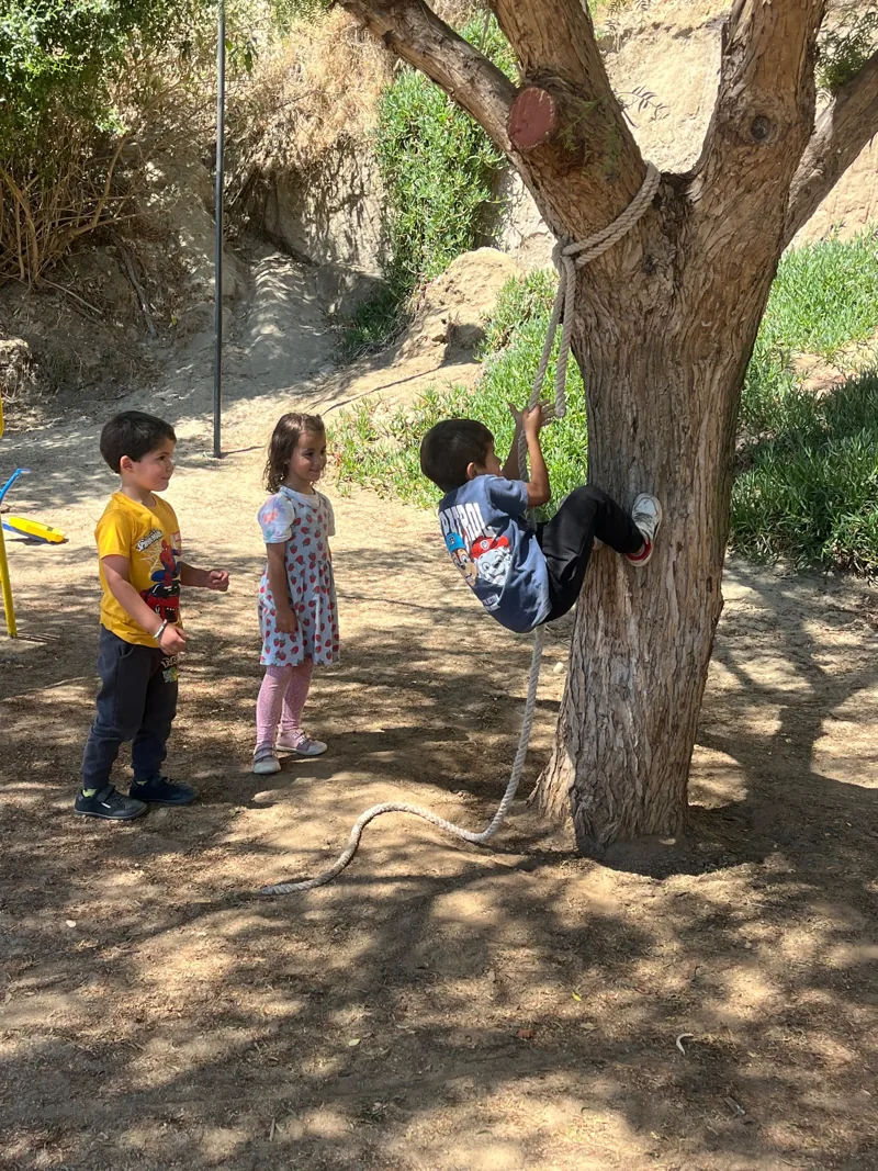 Niños exploran y juegan junto a un árbol en el jardín de Aurora.
