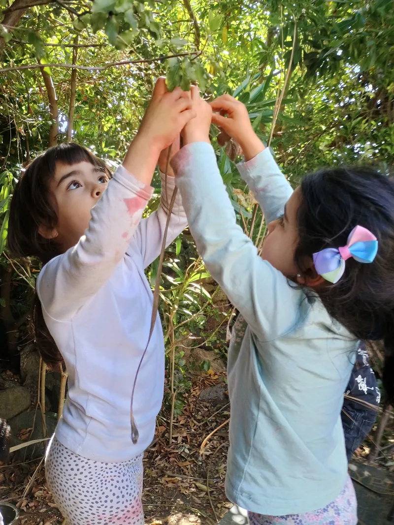 Dos niñas levantan sus manos juntas bajo los árboles de Aurora.