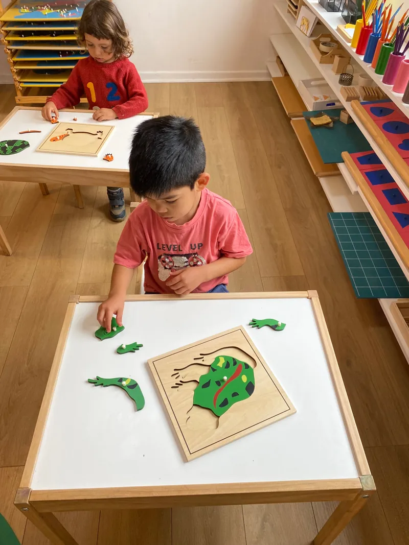Dos niños trabajan con puzles de botánica en el ambiente de Aurora.