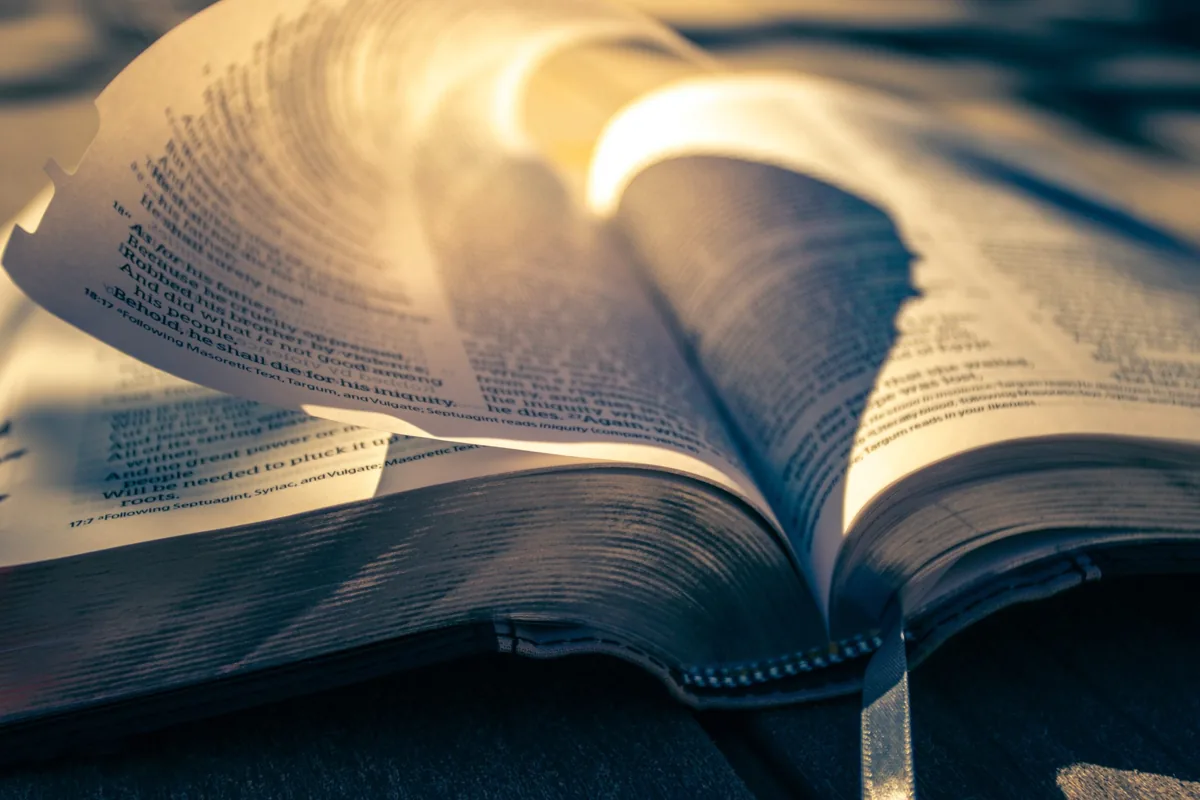 Un libro abierto con páginas curvadas e iluminadas por el sol.