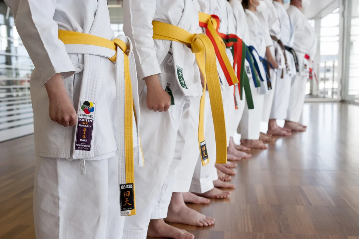 Personas en fila con uniformes de artes marciales y cinturones de distintos colores.